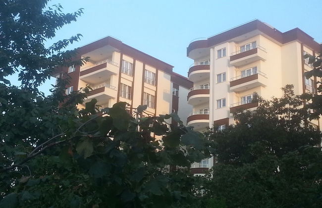 Royal Life Residence - Foto 39