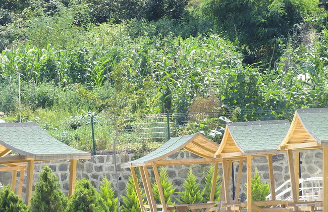 Royal Life Residence - Foto 35
