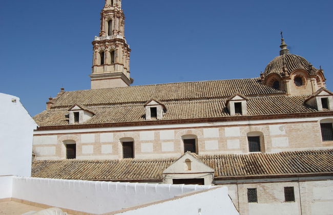 El patio del limonero - Photo 19