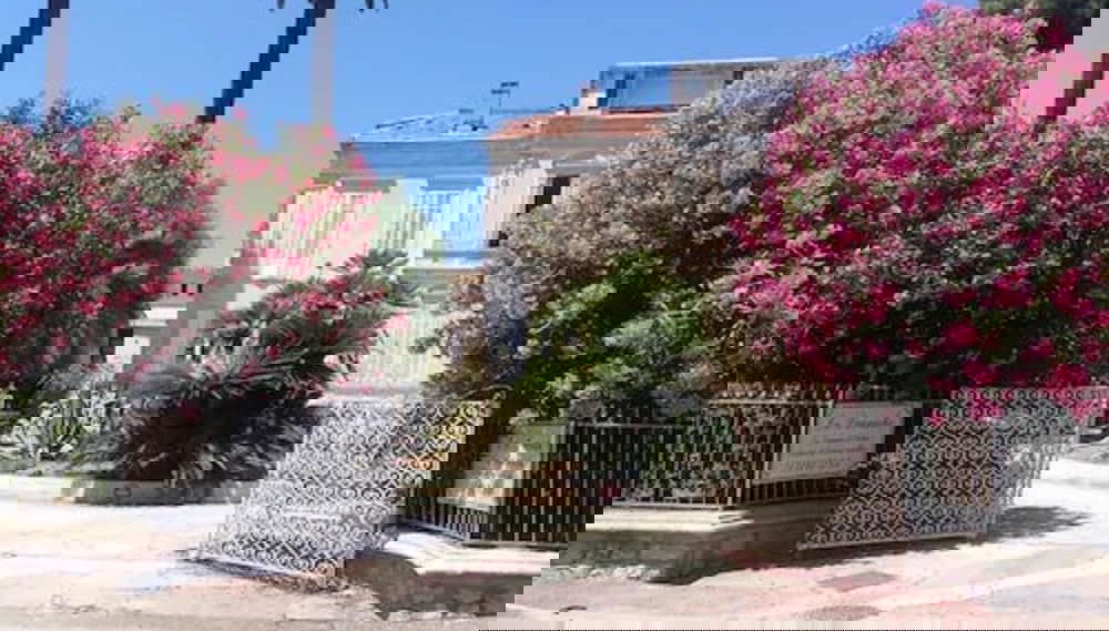 Imagem principal