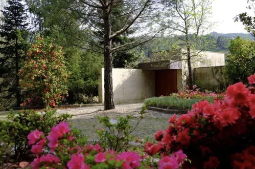 Photo 1 - Impeccable 5 Bed House in Santa Cruz do Douro