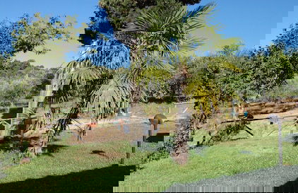 Borgo del Senatore - Foto 50