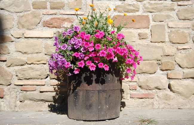 Borgo del Senatore - Foto 39