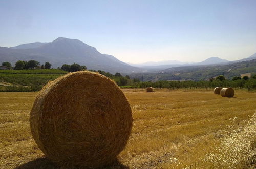 Foto 53 - Masseria Frangiosa