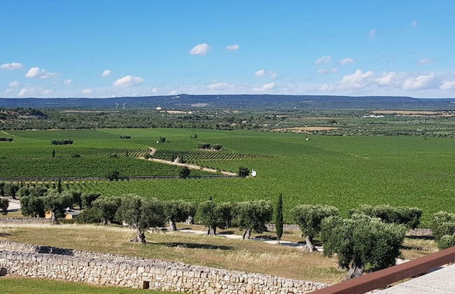 Masseria Amastuola Wine Resort - Foto 61