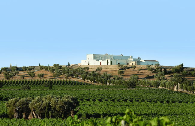 Masseria Amastuola Wine Resort - Foto 80