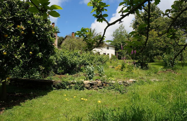 Apartamentos La Collada - Foto 38
