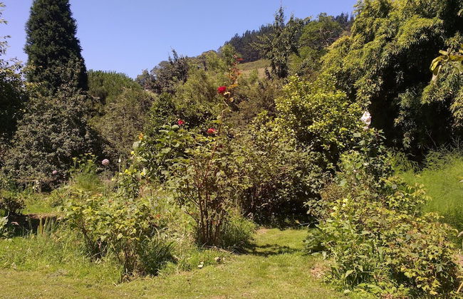 Apartamentos La Collada - Foto 44
