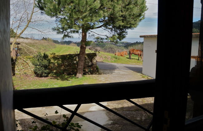 Apartamentos La Collada - Foto 52