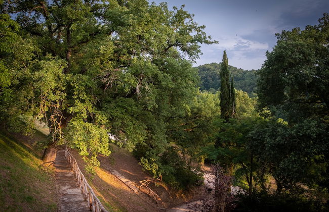 Agriturismo Le Cerque - Foto 53