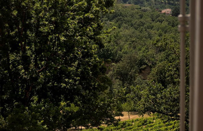 Agriturismo Le Cerque - Foto 55