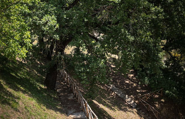 Agriturismo Le Cerque - Foto 45