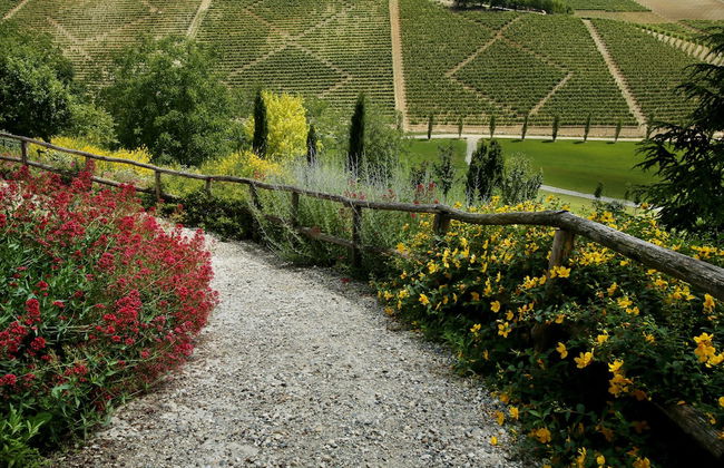 Relais Di Tenuta Santa Caterina - Foto 45