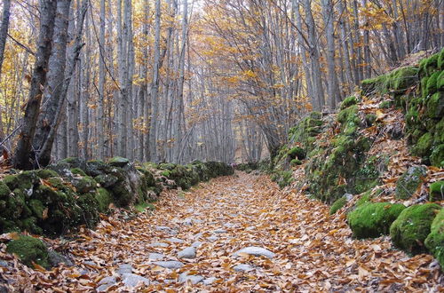 Photo 20 - Casa Rural Estrela