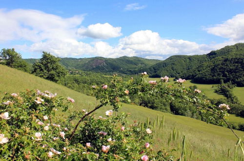 Photo 22 - Apartment in Pennabili on Tuscan Border near Nature Park