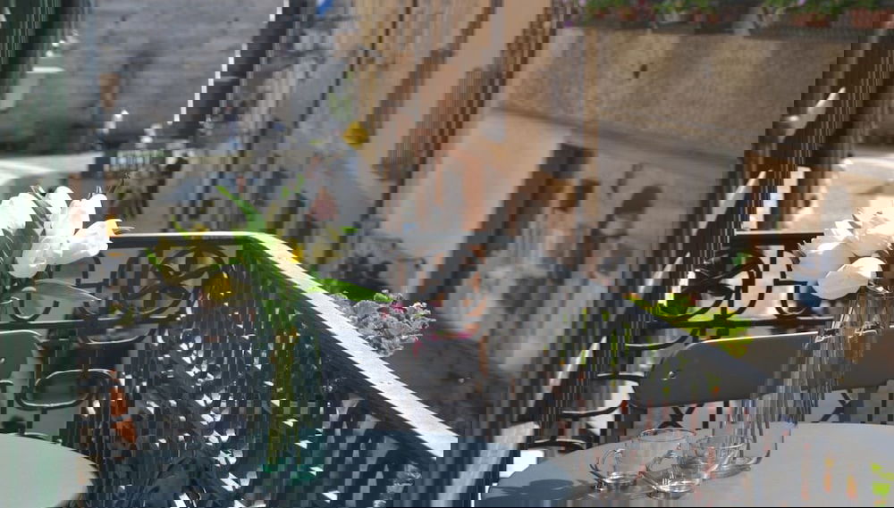 Imagem principal