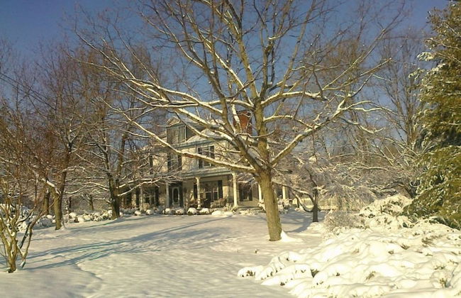 7 Bedroom Manor near Appomattox & Lynchburg - Photo 36