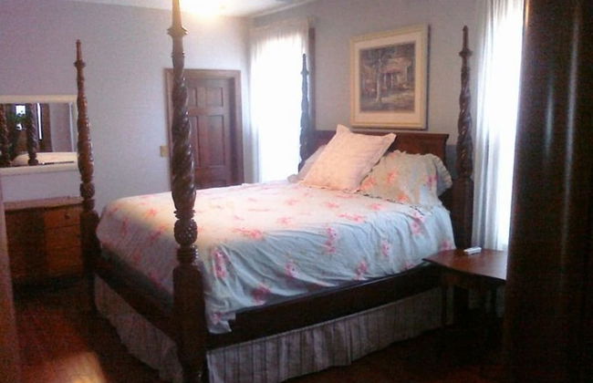 7 Bedroom Manor near Appomattox & Lynchburg - Photo 2