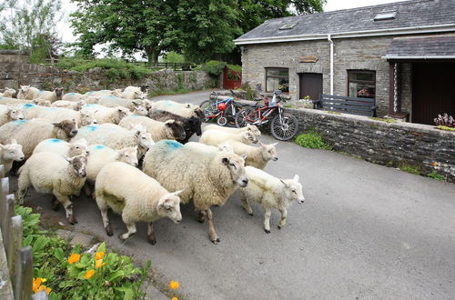 Photo 25 - Swansea Valley Holiday Cottages