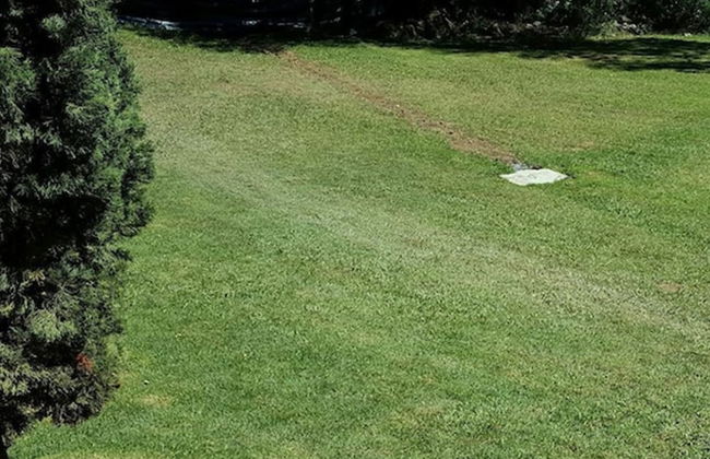 La Mora Casa de Campo - Foto 41