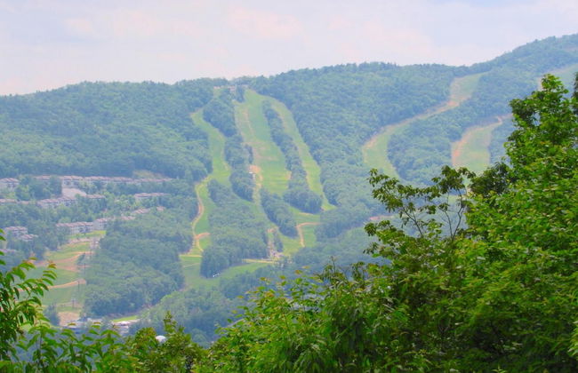 Mountainside Villas at Massanutten by Tripforth - Foto 44