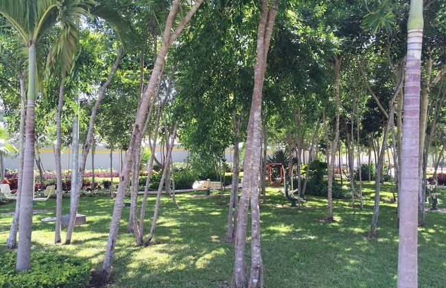 Casa Anona - Foto 20