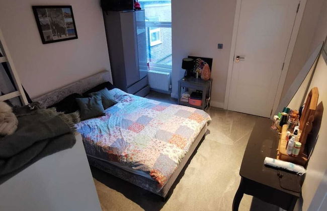 Entire 1-bed Apartment in London Haringey , - Foto 2