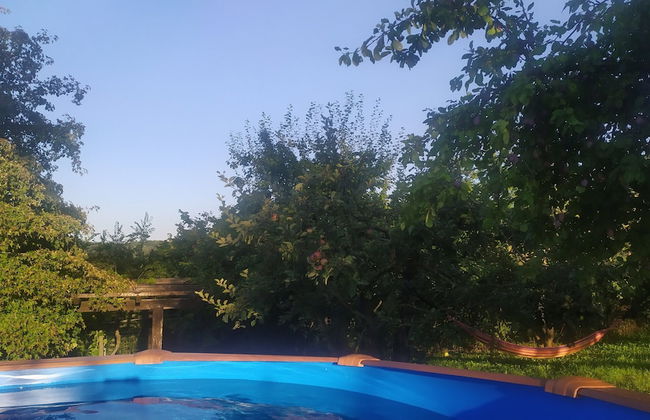 B&B Naturin - Cascina Colombaro - Foto 22