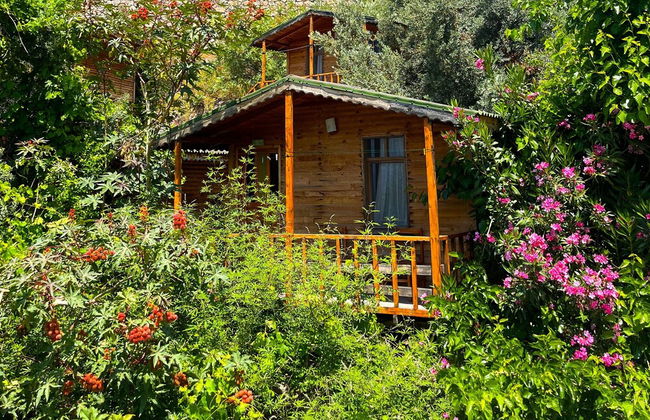 Fullmoon Camping - Foto 7