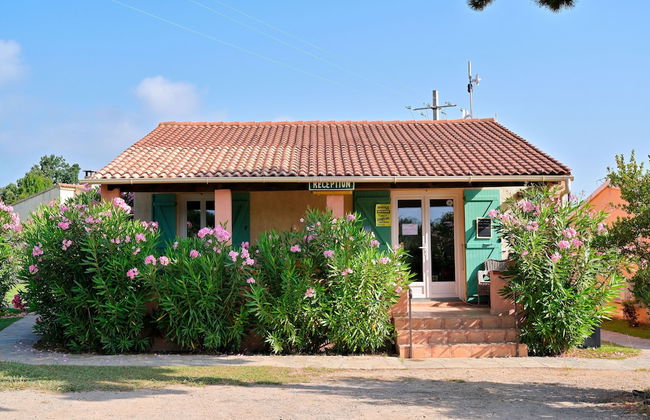 Pinea Mare - Foto 2