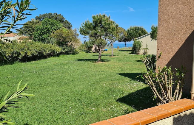 Pinea Mare - Foto 13