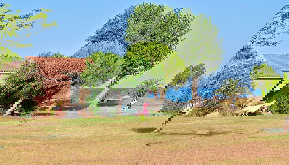 Imagem principal