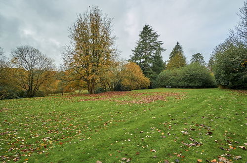 Photo 24 - Tranquil Lodge Retreat in Carluke