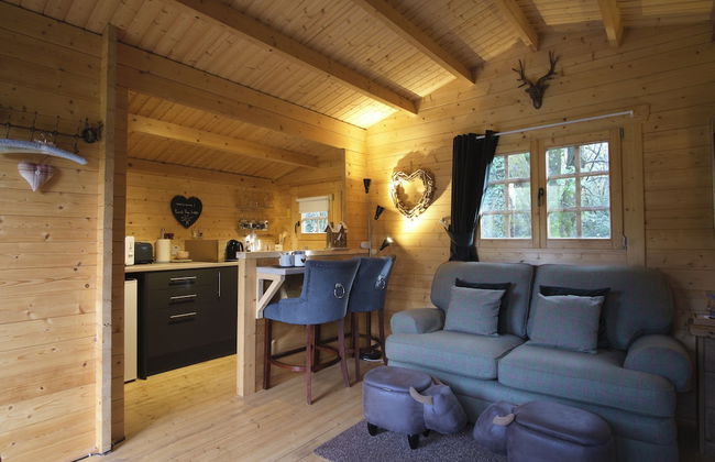 1-bed Cabin, 2 Adults, Wood Burning Hot Tub & Fire - Foto 9