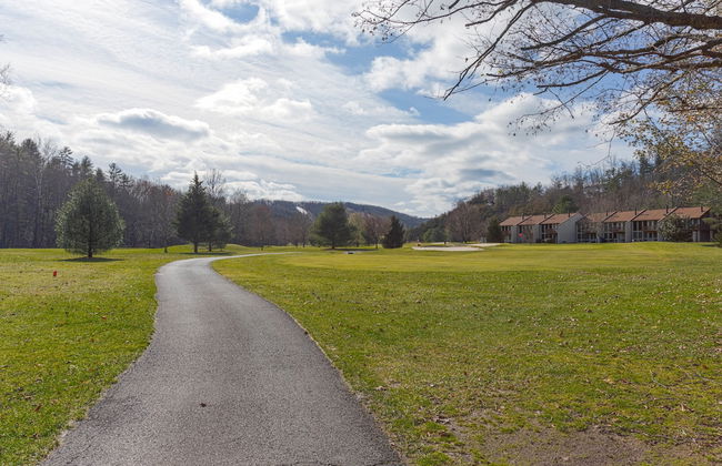 Stony Court at Bryce Mountain - Photo 26