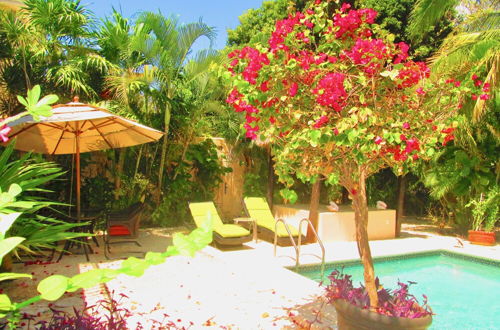 Photo 43 - Casa Royal Palms by Playa Paradise