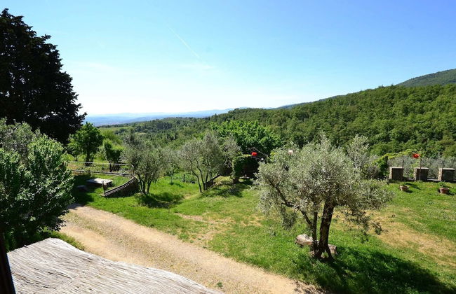 Lovely Estate not far From Florence With Olives Trees - Foto 72
