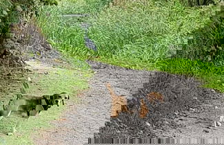 Foto 31 - Chatterley House