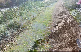 Foto 37 - Chatterley House