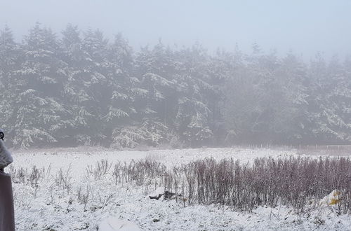 Photo 25 - Cosy Cottage in the Blackdown Hills, Devon