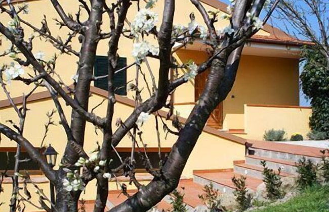 Il Gelso - Foto 30