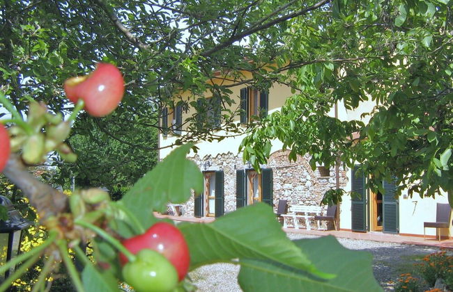 Il Gelso - Foto 1
