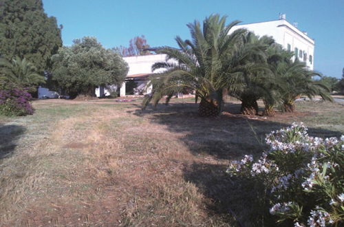 Foto 36 - Masseria La Grave