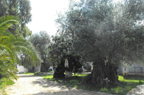 Photo 35 - Masseria La Grave