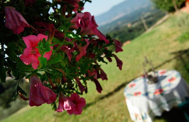 Agriturismo Podere Picciolo - Foto 38