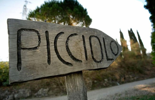 Agriturismo Podere Picciolo - Foto 45