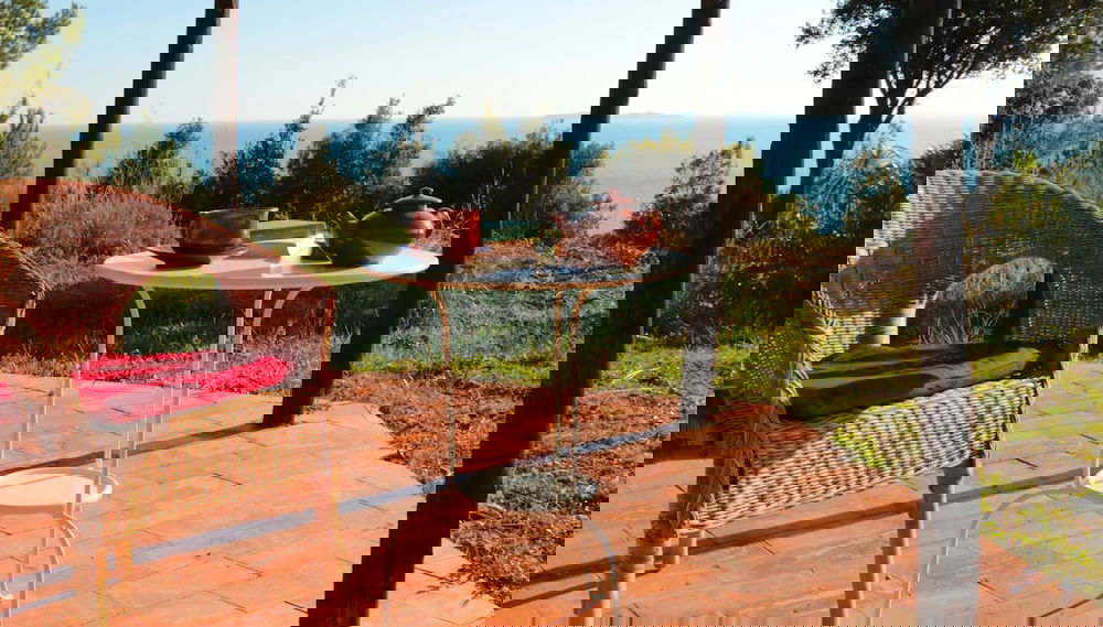 Imagem principal