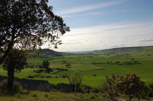 Foto 43 - Finca El Cercado