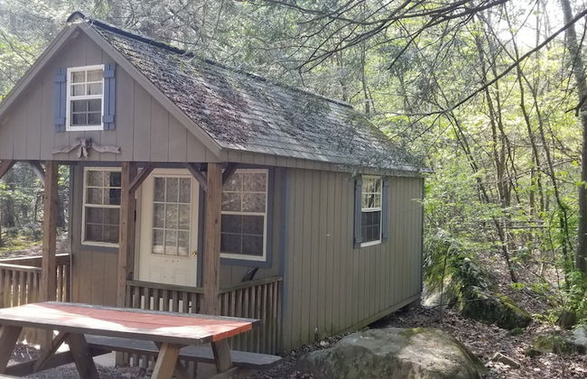 Abrams Creek Center - Foto 9