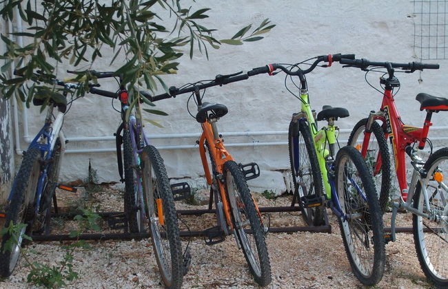 La Piccola Masseria - Foto 23